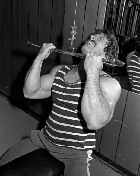 Mike Mentzer Workout Routine